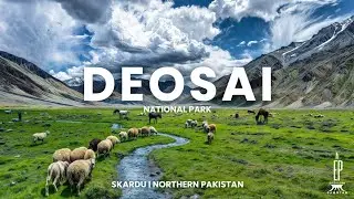 The Untouched Beauty of Deosai National Park