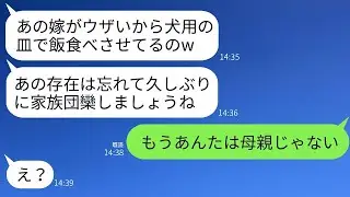 3年ぶりにお盆休みに実家に帰ると、ペット用の皿で夕飯を食べている弟の嫁がいた。弟嫁は「義母の命令だから…」と言い、私が怒って母に仕返しをした結果www