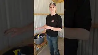 Cleaning an Evaporator Pan with the Sour Sap Method