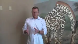 Dr. Tabor : Zaino Experience Transformation