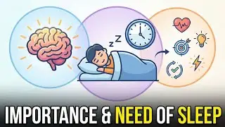 Why We Sleep: The Science of Rest & Recovery 🧠