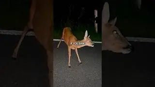 The Possessed Deer Caught on Camera 👁️  #creepy  #mystery #shorts