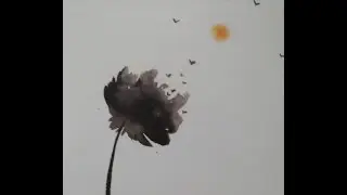 Due poesie di luce di Sabrina Giarratana