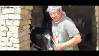A visit to Dairy farm. KHADIJA&rsquo;S DAIRY ALLAMDAR ROAD