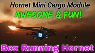 Box Running Hornet -- Hornet's Mini Cargo Module Is Awesome & Fun! | SC Science & Fun 4K