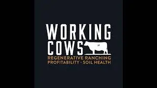 The Marketing Flexibility that Comes from Composite Cattle (WCP 489)