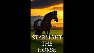 Starlight The Horse