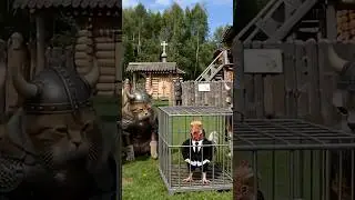 next day fight chicken yellow hair Vs King Oyen #reels #relax #cat #cute #cosplay