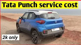 Tata punch service cost explain