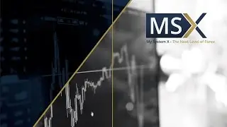 MySystemX - MSX - Pr&auml;sentation & Vorstellung Deutsch 2.0 / TEAM Saman