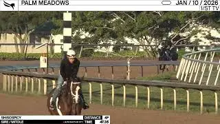 Work of the Day at Palm Meadows: Shisospicy worked 4 Furlongs in 47.35 on January 10th, 2026