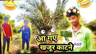 Cutting Dates Tree for the First Time ||आ गए खजूर काटने 🤣 | Desi Comedy Vlog