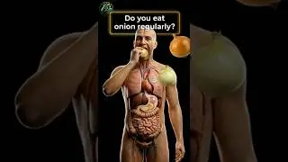 Вы едите лук во время еды? Время имеет значение 🧅 #fyp #health #viralvideo #anatomy #shorts #reels