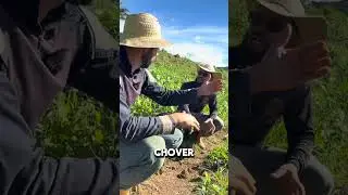 N&Atilde;O FA&Ccedil;A ASSIM