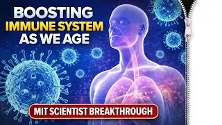 Scientists find way to rejuvenate immune system as person ages