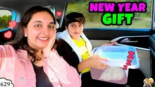 NEW YEAR GIFT | Pihu ka new Pet | Happy New Year 2025 | Aayu and Pihu Show