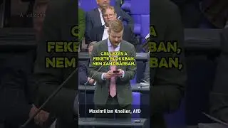 ​AfD-felsz&oacute;lal&aacute;s egy Die Linke-k&eacute;pviselő erőszakot t&aacute;mogat&oacute; TikTok-vide&oacute;j&aacute;r&oacute;l.