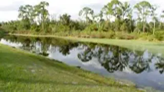 Disney area property 342 Paradise Woods - Dolby Properties
