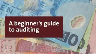 A beginner's guide to auditing