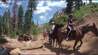 Emigrant Wilderness 360 Video Long Version
