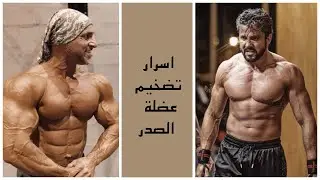 اهم اسرار مرحلة تضخيم العضل | تمارين لتفجير و تكبير الصدر مع البطل المحترف عاصم