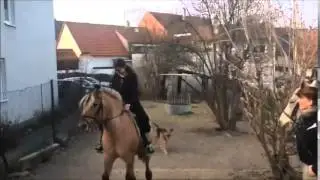 Das Reiten auf Rocky und Mercedes