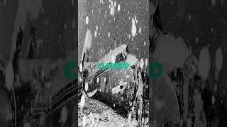 The Day Manchester United Almost Died 💔✈️ | Munich Air Disaster #shorts