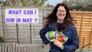 What Can I Sow In May - Allotment Gardening For Beginners UK #seeds