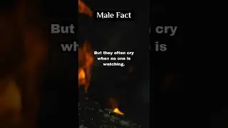 The Truth About Men