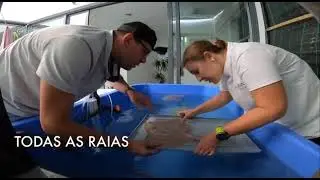 Projeto PP Centro -  Devolução de Raias em Peniche