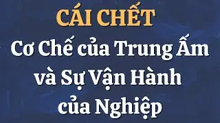 CÁI CHẾT - Cơ Chế của Trung Ấm và Sự Vận Hành của Nghiệp - Phần 2/3  | Thư Viện Sách Video