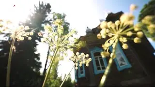 &laquo;Час новостей&raquo;. Итоговый выпуск (23.06.22)