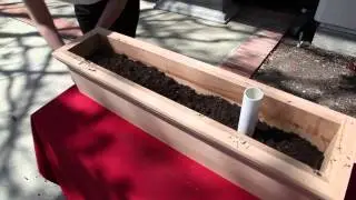 Planting a Window Box & How to Make any Container Self-Watering | Hooks and Lattice