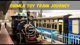 Shimla Toy Train Journey #trendingshorts #youtubeshorts #shimla  #love #explore #newshorts #shorts