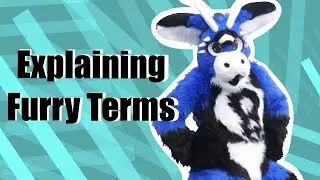 Explaining Furry and Fursuit Terms!