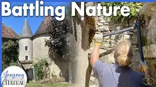 Battling Nature - Invasive Ivy is DESTROYING the Chateau Tower!