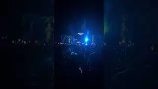 Wooli Electric forest 2024 (full set)