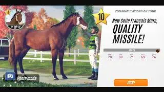 Rival Stars Racing UPDATE Breeding a horse for Steeplechase  Level 50 🐎🐎 🐎🐎