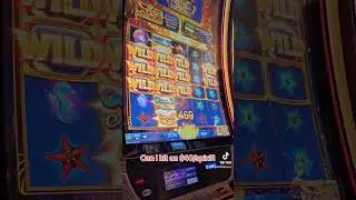 gotta risk it for the biscuit #gamblers #slotstreamer #slotsgame #slotsjunkies #highroller