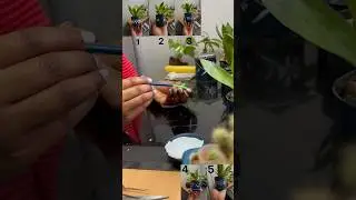 ￼ Make attractive ￼pot #paint #painting #art #artist #work #creative #creativeart #artwork #love