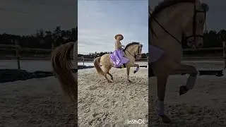 💗Piaff in pirouette💎Spanish trot👑Majestic passage🔮Flying changes every second stride from the ground