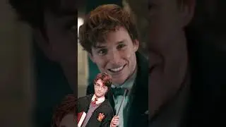 Newt Scamander Was In Harry Potter?!