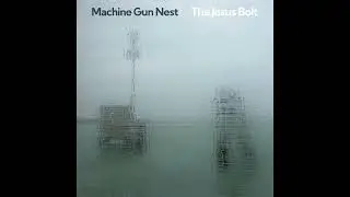 The Jesus Bolt - Wrong Kind Of Kind (Official Audio)