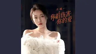 你的伤害你的爱（DJ晓冬版）