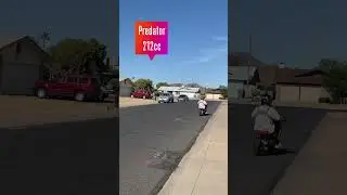 212cc Predator powered mini bike
