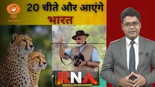 India Welcomes 20 New Cheetahs &mdash; PM Modi&rsquo;s Big Wildlife Mission