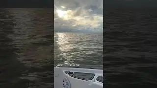 Gone in the wind 💨 #dog #boat #fishing #fish #redfish #doglife #boatdog #sunrise #water #oceanview