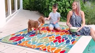 Nourison Aloha Poolside Area Rug Collection
