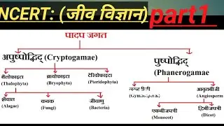 Plant Kingdom |पादप जगत का वर्गीकरण |Padap jagat | Botany | 