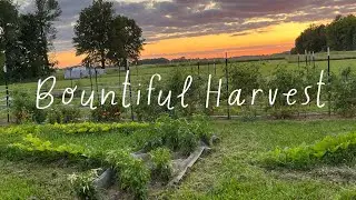 My Farm’s Journey - Aug. 2023 (87)